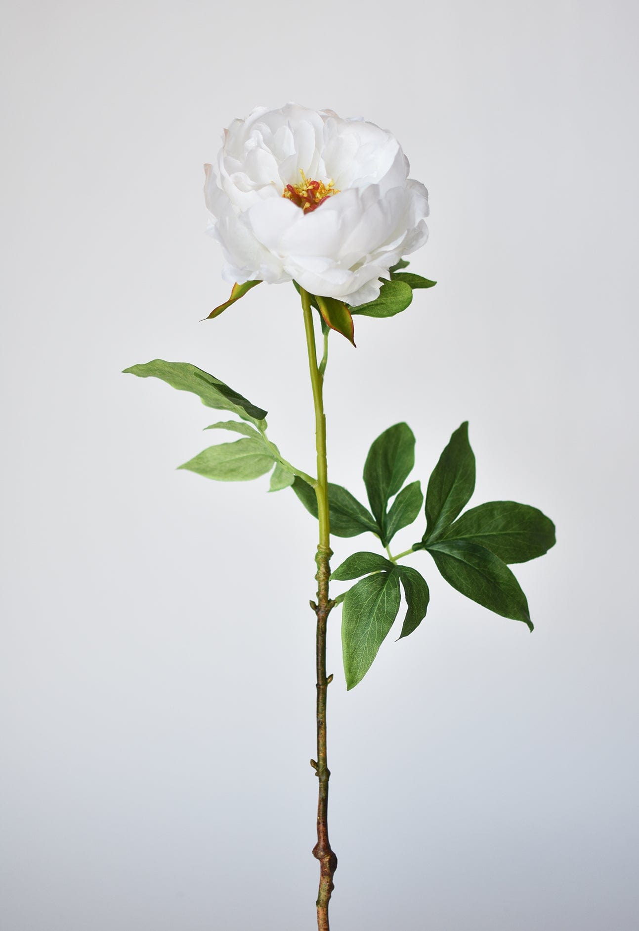 22" Faux White Peony Stem